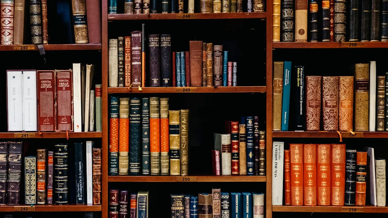 Conservation des archives et lecture publique